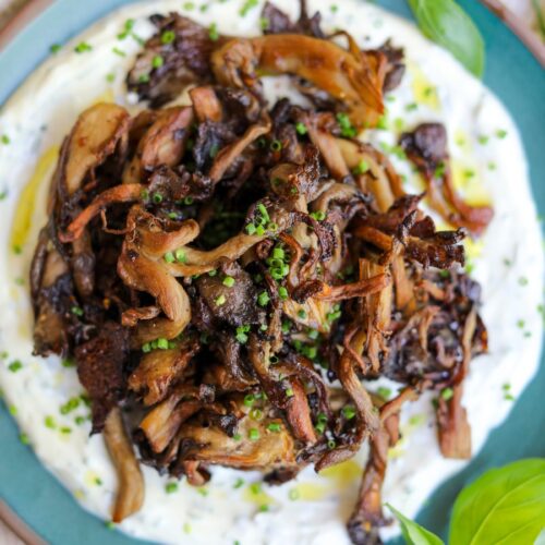 Roasted Oyster Mushrooms with a Herby Yogurt Sauce, Sacha Served What